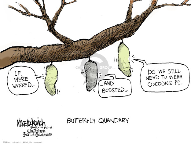 If were vaxxed … and boosted … Do we still need to wear cocoons?? Butterfly quandary.
