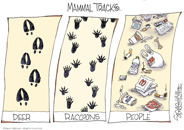 Mammal tracks � Deer. Raccoons. People.
